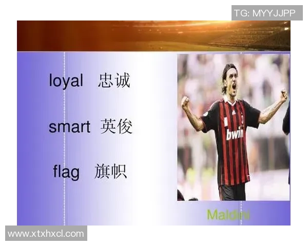 足球明星风采展示与成就解析精彩PPT分享